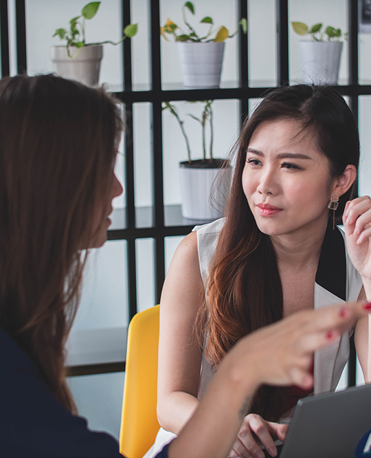 Wireframe - Process 01